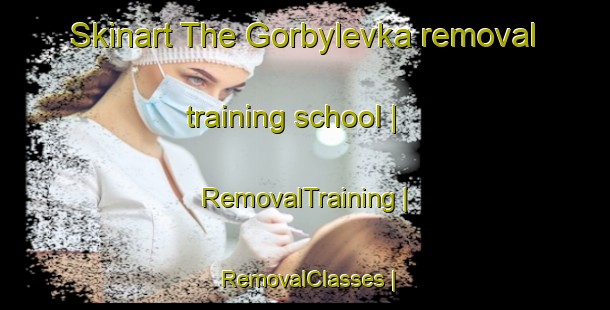 Skinart The Gorbylevka removal training school | RemovalTraining | RemovalClasses | SkinartTraining-Russian Federation